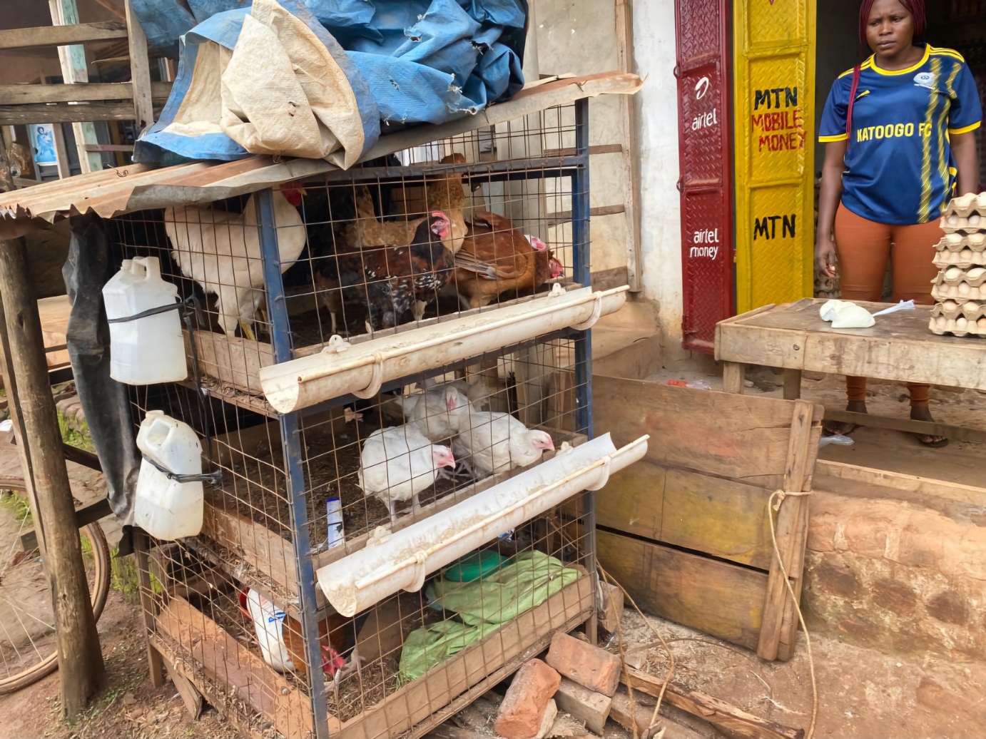 Nabuduwa Viola Store